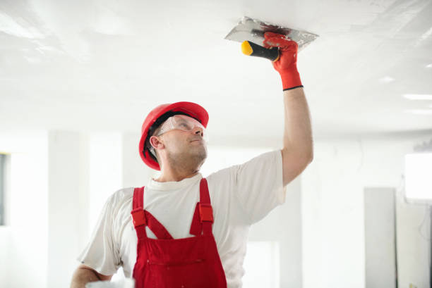 Best Mold-Related Health Consultation  in Royal City, WA